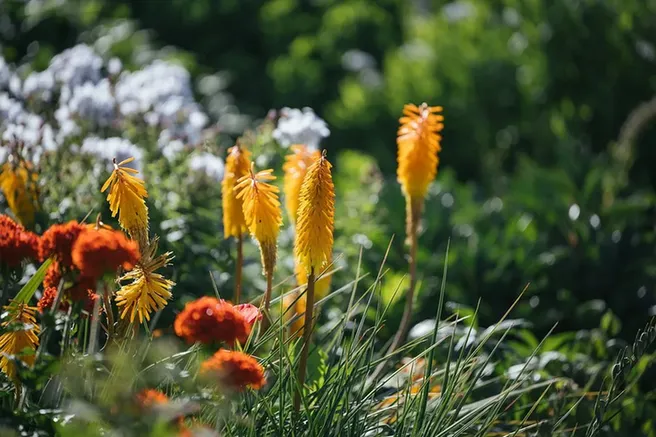 Oxford Botanic Garden