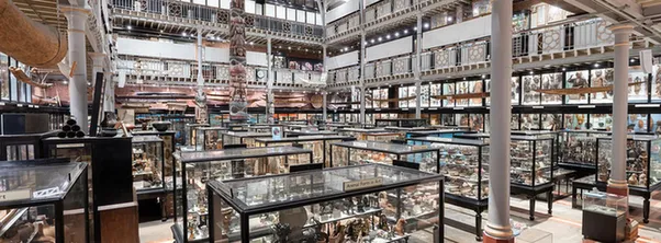 Pitt Rivers Museum